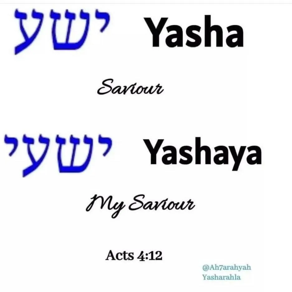 Yasha Savour